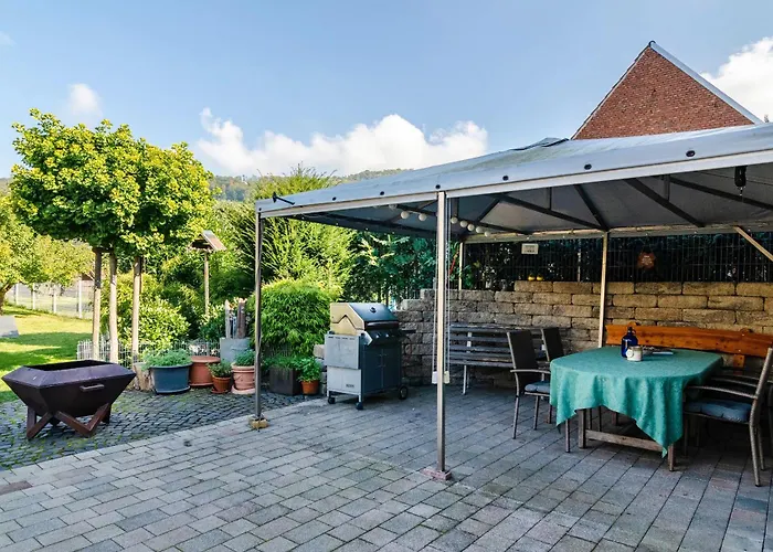 Theo Im Alte Schule Adelsborn