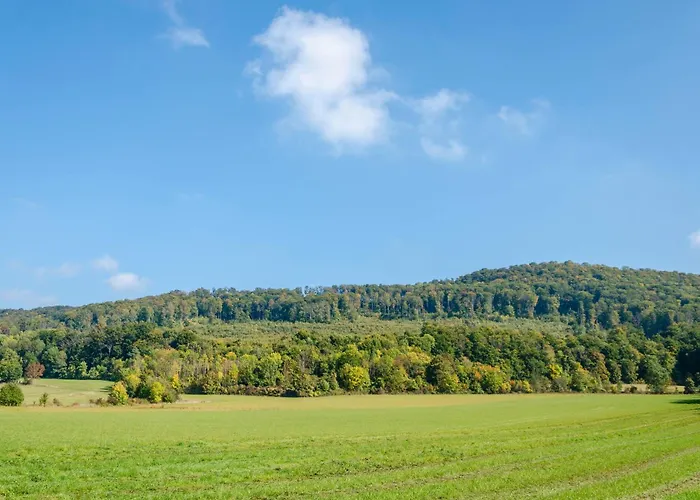 Theo Im Alte Schule Lejlighed Adelsborn